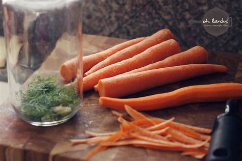 dilly-carrots-how-to-make-pickled-carrots-oh-lardy image