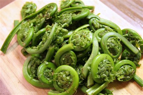 fiddleheads-facts-nutrition-benefits-and-how-to-use image