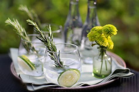 recipe-cucumber-rosemary-gin-and-tonic-the-kitchn image