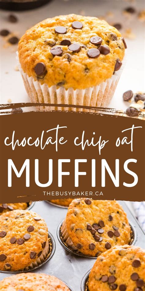 oatmeal-muffins-with-chocolate-chips-the-busy-baker image