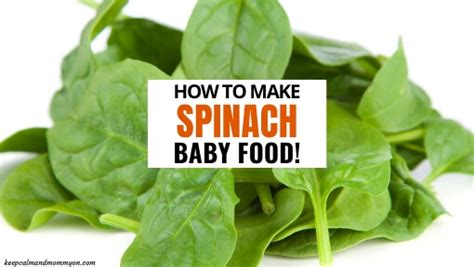 how-to-make-spinach-baby-food-keep-calm-and image