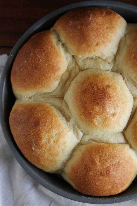 fluffy-no-knead-refrigerator-rolls-stephie-cooks image