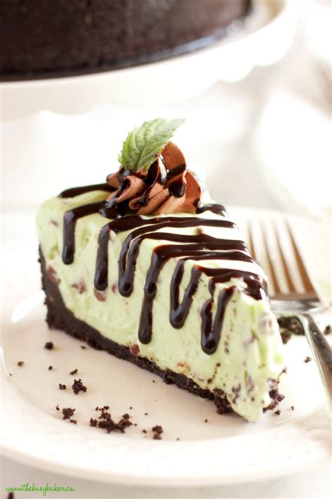 easy-no-bake-mint-chocolate-chip-cheesecake-the-busy image