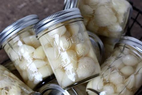 how-to-preserve-garlic-barefeet-in-the-kitchen image