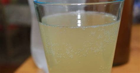 10-best-ginger-cordial-recipes-yummly image