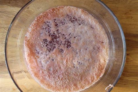 fermented-grape-soda-recipe-story-of-a-kitchen image