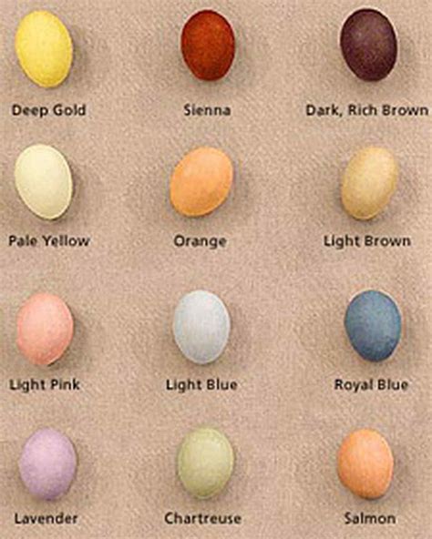 how-to-make-natural-dyes-for-easter-eggs-martha-stewart image