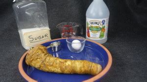 bushias-creamy-polish-horseradish-food-for-your image