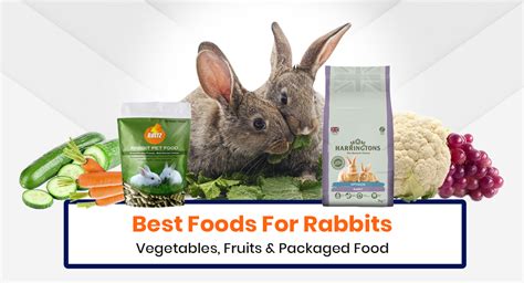 15-best-foods-for-rabbit-vegetables-fruits-and image