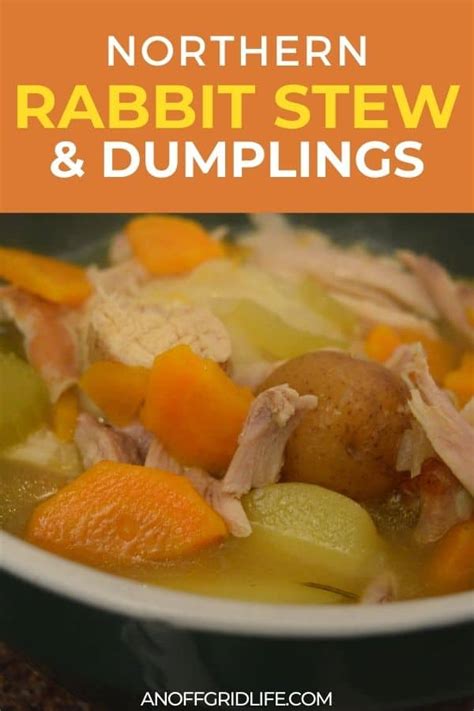 northern-rabbit-stew-and-dumplings-an-off-grid-life image