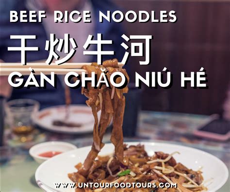 chinese-dry-fried-beef-rice-noodles-recipe-干炒牛河 image
