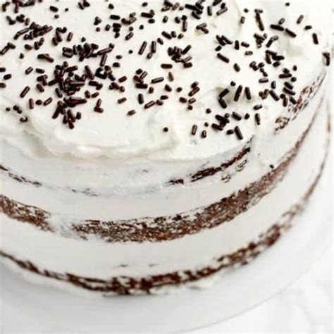 chocolate-whipped-cream-cake-one-sweet-appetite image
