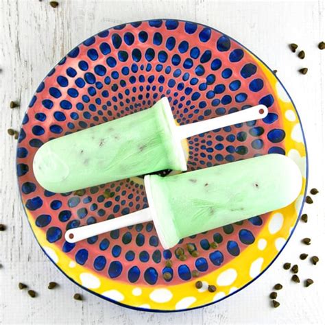 healthy-mint-chocolate-chip-greek-yogurt-popsicles image
