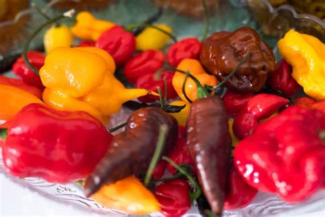types-of-chili-peppers-their-taste-uses-and-heat image