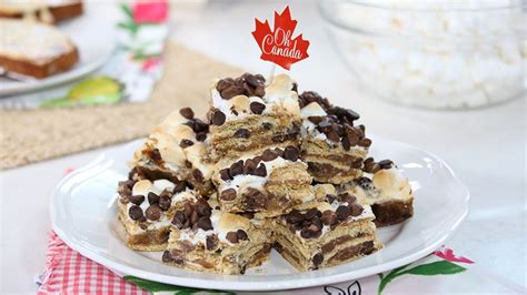 the-perfect-smores-squares-for-a-summer-snack-ctv-2 image