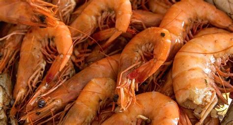 deanies-seafood-features-summer-shrimp image