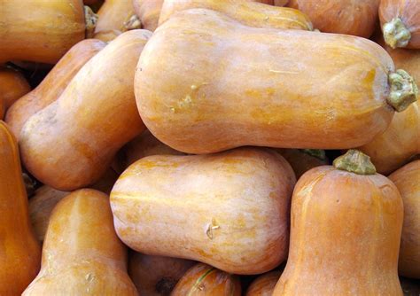 what-is-honeynut-squash-and-how-do-you-cook-with image