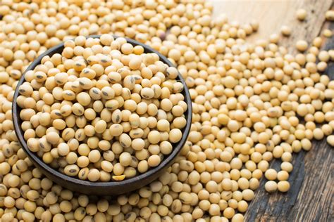 how-to-cook-soybeans-the-spruce-eats image