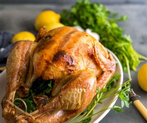 greek-roasted-turkey-recipe-tips-on-roasting-the-best image