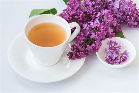 11-amazing-benefits-of-sweet-violet-tea-daily-health image