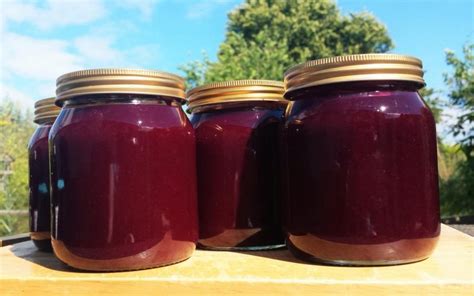 homemade-blackcurrant-curd-day-dreaming-foodie image