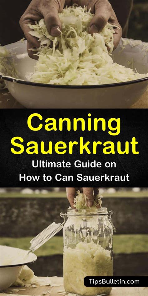 how-to-ferment-can-sauerkraut-the-easy-way-tips image