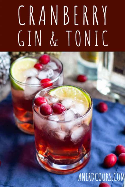 festive-cranberry-gin-and-tonic-recipe-a-nerd-cooks image