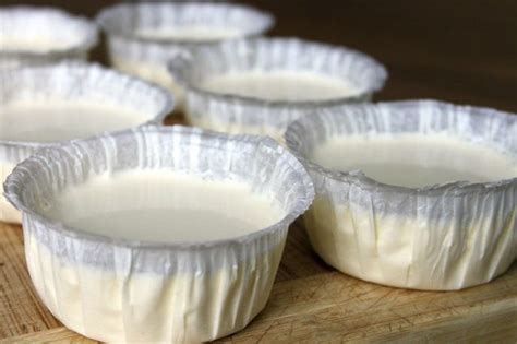 ricotta-pudding-the-recipe-for-a-fresh-and-butter-free image