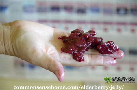 elderberry-jelly-recipes-low-sugar-and-sure-jell image
