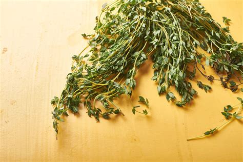 how-to-cook-with-thyme-10-fresh-thyme image