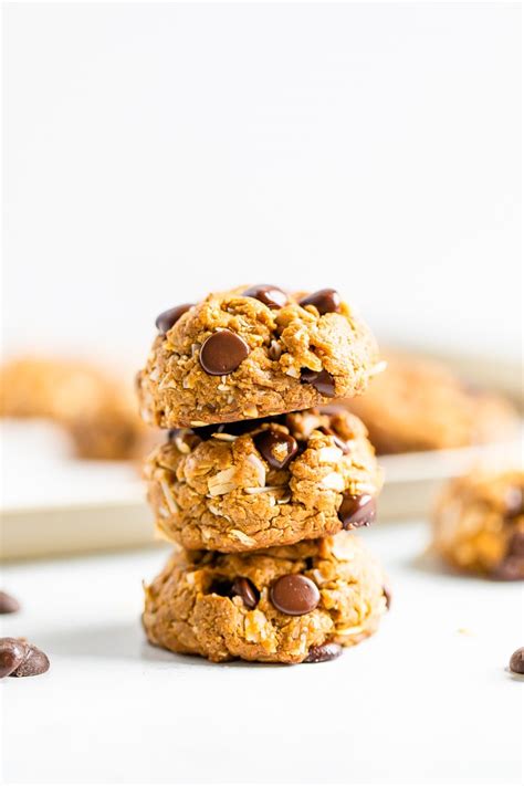 peanut-butter-chocolate-chip-cookies-eating-bird-food image