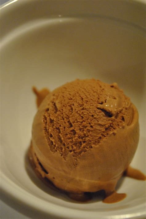 spicy-mexican-chocolate-ice-cream-three-many-cooks image