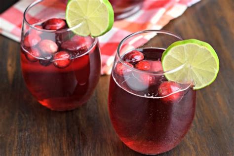 cranberry-ginger-ale-punch-recipe-food-fanatic image
