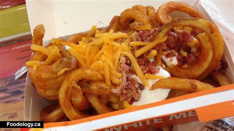 arbys-loaded-curly-fries-foodology image