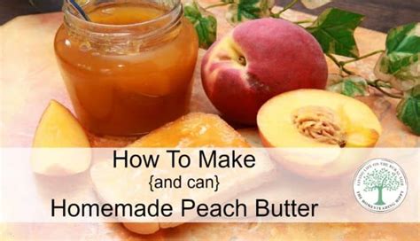 how-to-make-and-can-homemade-peach-butter-the image