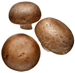 varieties-taste-mushrooms-canada image