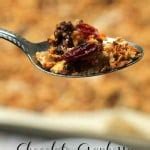 chocolate-cranberry-homemade-granola image