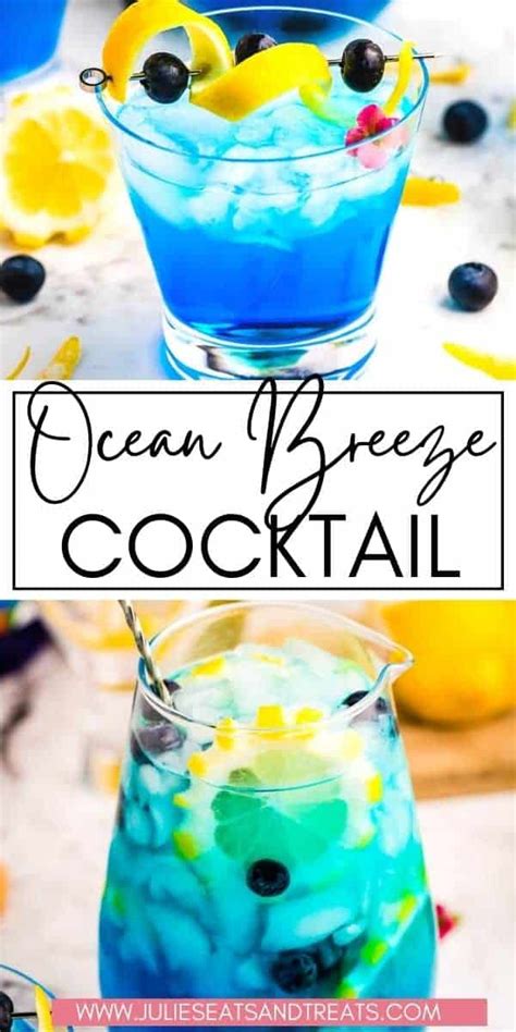 ocean-breeze-cocktail-single-serving-or-pitcher-julies image