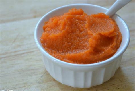 carrot-apple-and-cinnamon-sage-spoonfuls image