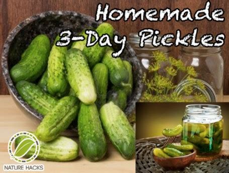 how-to-make-3-day-pickles-homestead-survival image