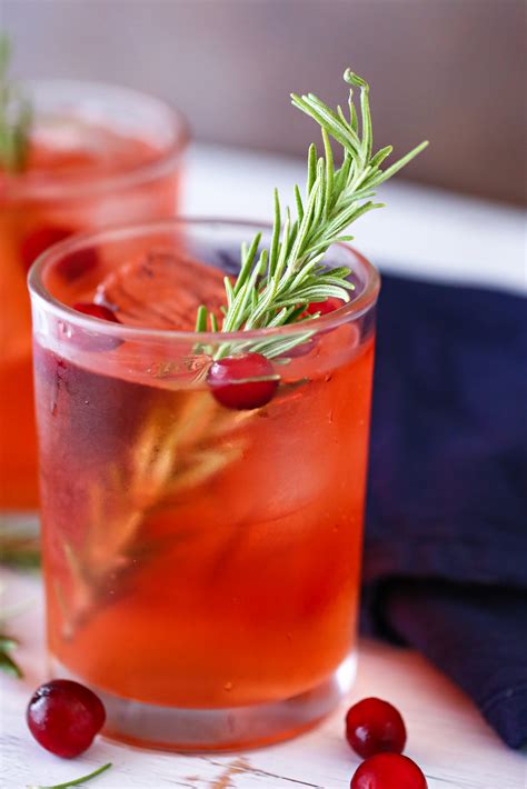 apple-cranberry-spritzer-old-house-to-new-home image