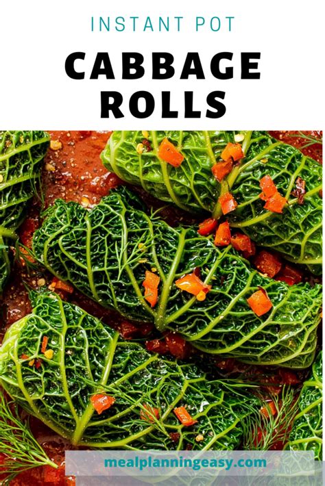 instant-pot-cabbage-rolls-best-of-2020-simply-meals image