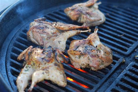 rosemary-lemon-grilled-quail-grillgirl image
