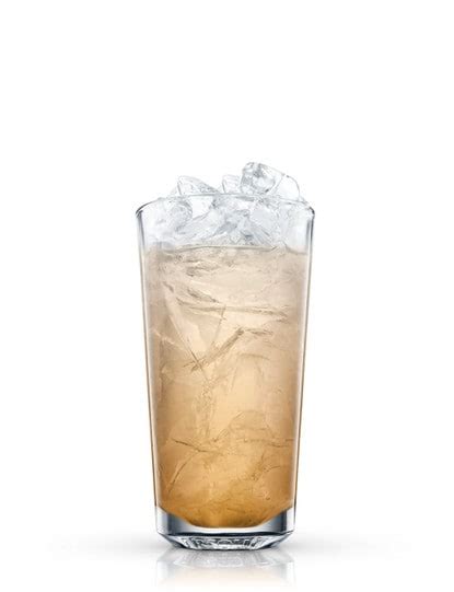 whiskey-collins-recipe-absolut-drinks image