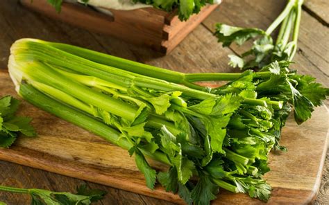 celery-health-benefits-nutrition-diet-and-risks image
