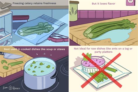how-to-freeze-celery-the-spruce-eats image