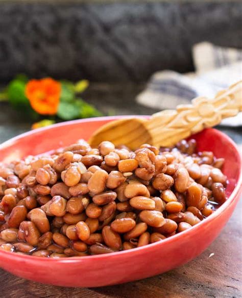 how-to-cook-pinto-beans-in-a-pressure-cooker-instant image