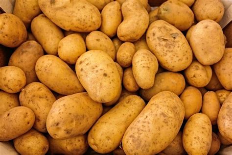 the-problem-with-potatoes-the-nutrition-source image