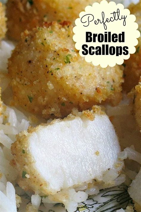 broiled-scallops-with-a-parmesan-crust-the-dinner-mom image