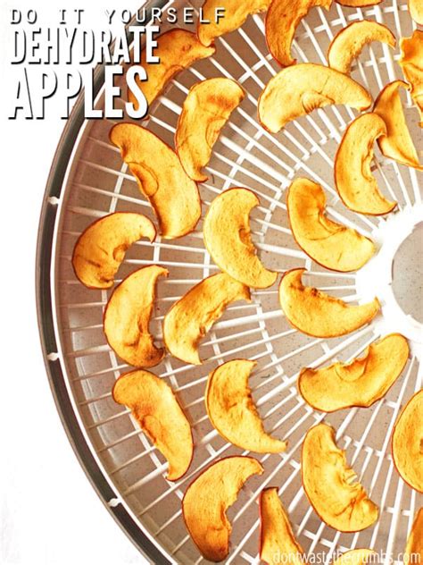 how-to-dehydrate-apples-and-make-apple-chips-dont image